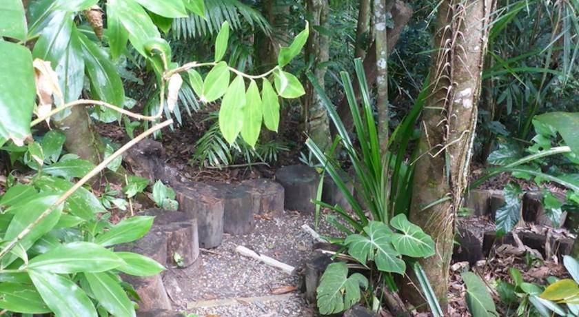 Photo of Others in Kuranda