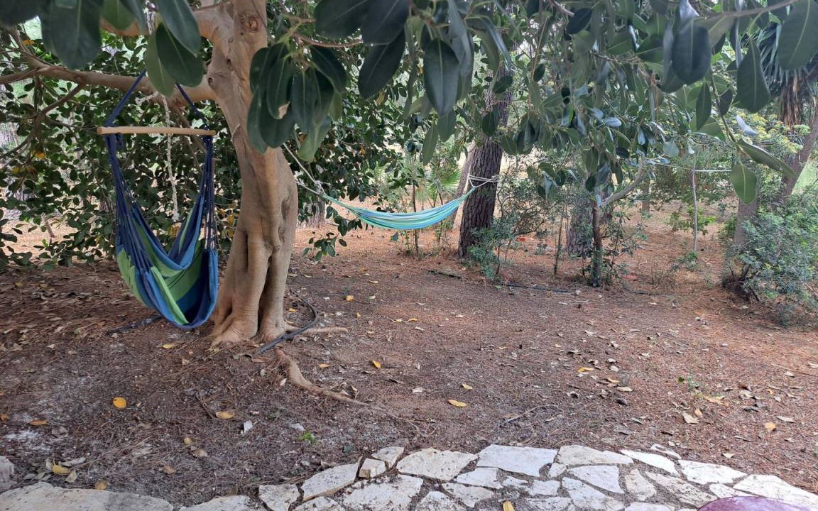 Photo of Others in Kiparissia