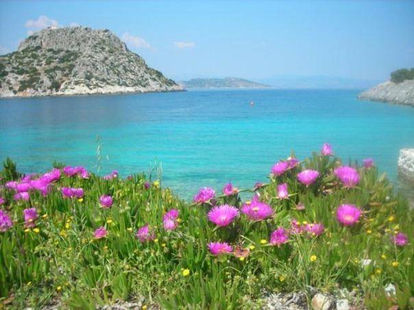 Photo of Others in Milos