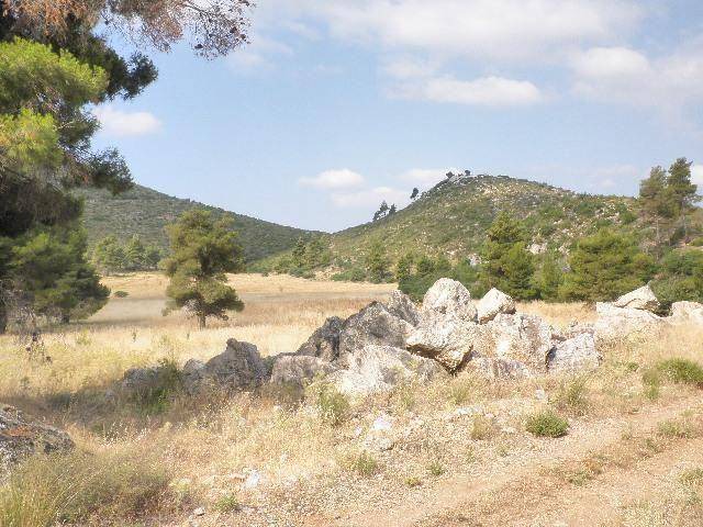 Photo of Others in Eretria