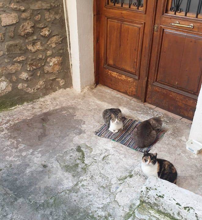Photo of Others in Arachova