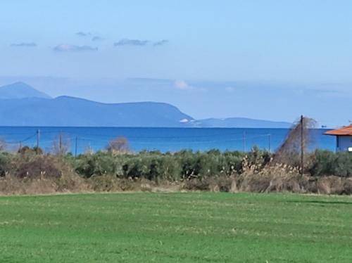 Photo of Others in Molos-Agios Konstantinos