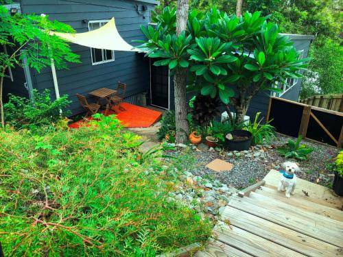 Photo of Others in Eumundi