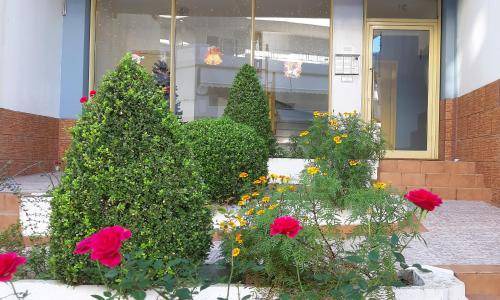 Photo of Others in Patras