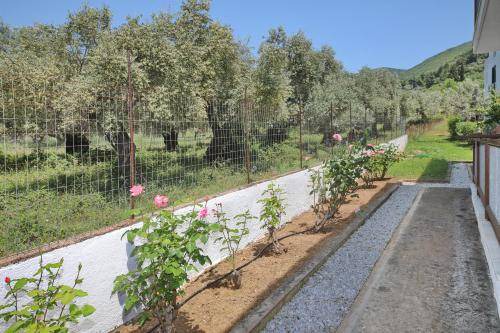 Photo of Others in Stafylos