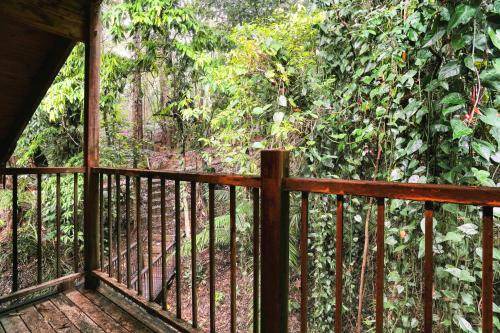 Photo of Others in Kuranda