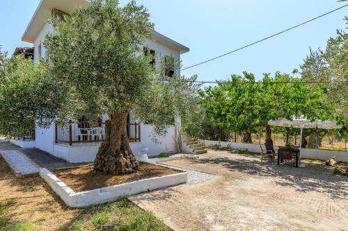 Photo of Others in Stafylos