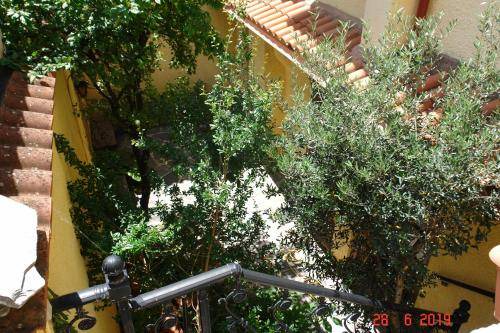 Photo of Others in Arachova