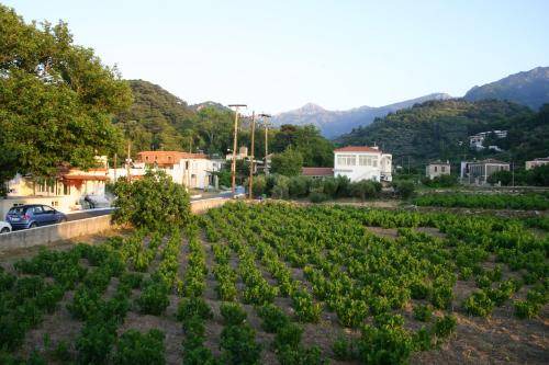 Photo of Others in Agios Konstantinos