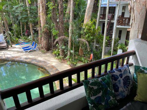 Photo of Others in Palm Cove