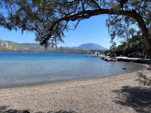 Photo of Others in Limni Vouliagmenis