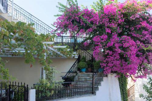 Photo of Patio Balcony in Spartochori