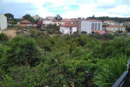 Photo of Others in Pylos