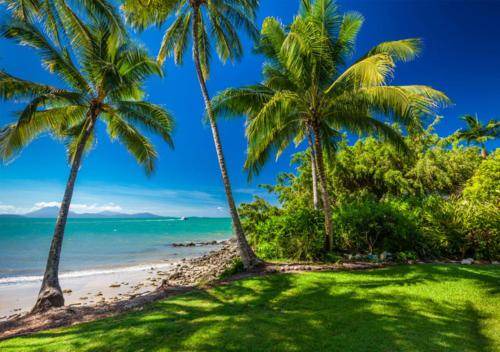 Photo of Others in Port Douglas