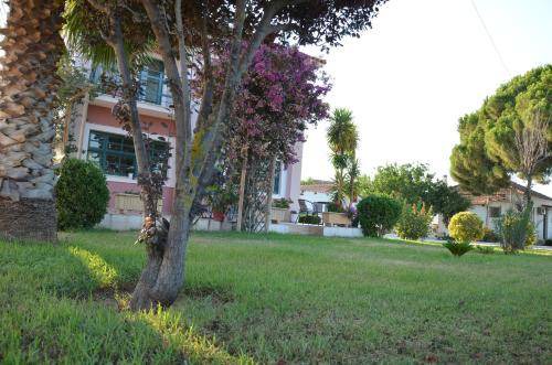 Photo of Others in Araxos