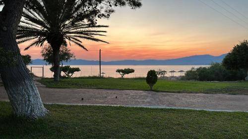 Photo of Outdoor in Karystos