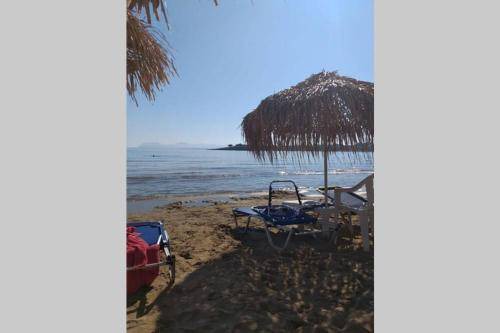 Photo of Others in Kato Galatas