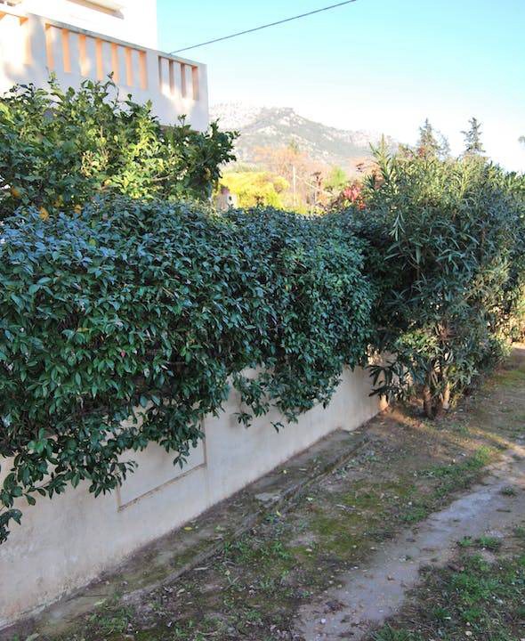 Photo of Others in Nea Makri
