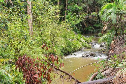Photo of Others in Kuranda