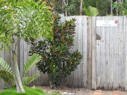 Photo of Others in Noosaville