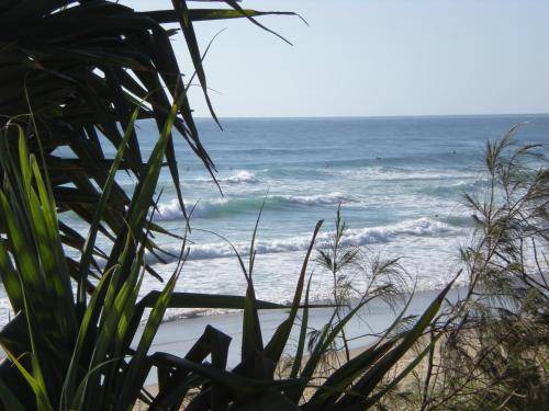 Photo of Others in Peregian Beach