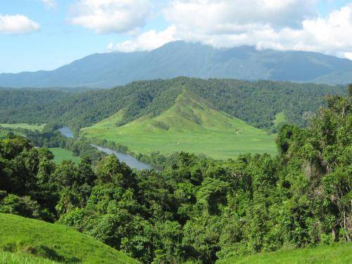Photo of Others in Daintree