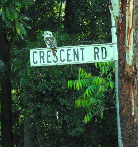 Photo of Others in Eumundi