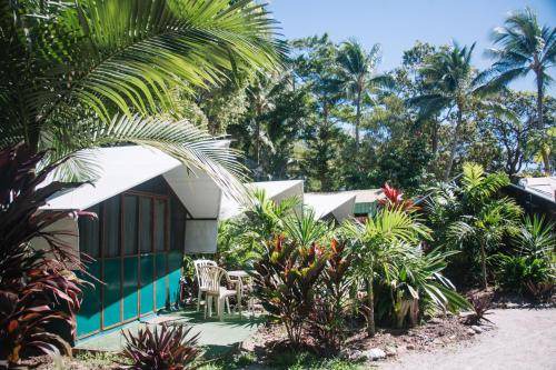Photo of Others in Port Douglas