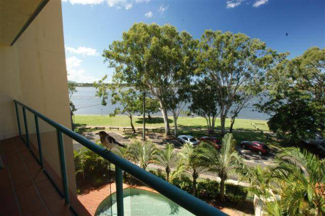 Photo of Others in Maroochydore