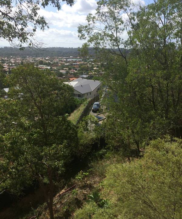 Photo of Others in Elanora