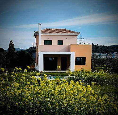 Photo of Others in Eretria