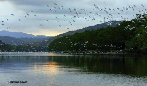 Photo of Others in Daintree