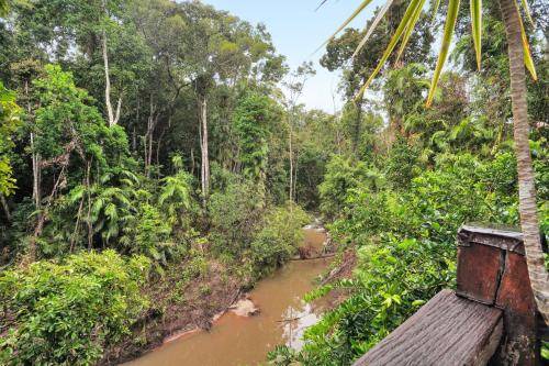 Photo of Others in Kuranda