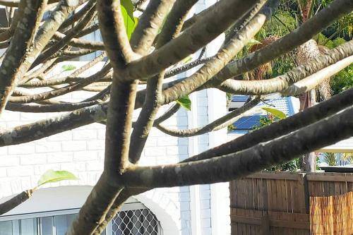 Photo of Others in Tugun