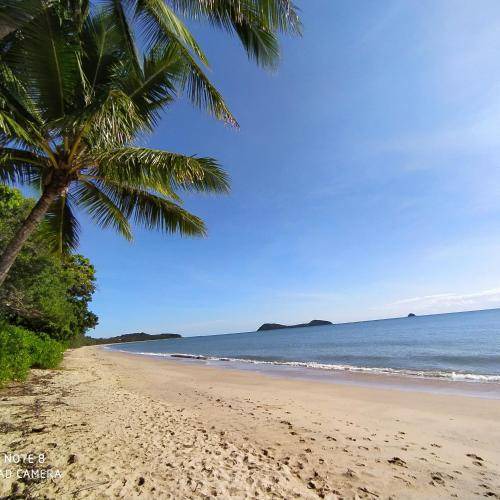 Photo of Others in Palm Cove