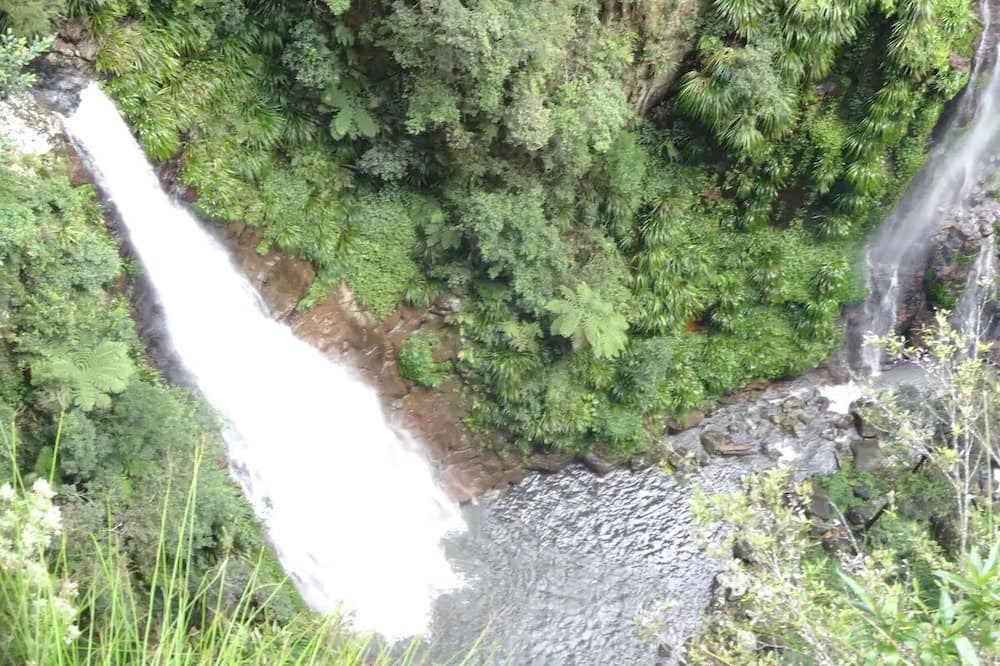 Photo of Outdoor in Binna Burra
