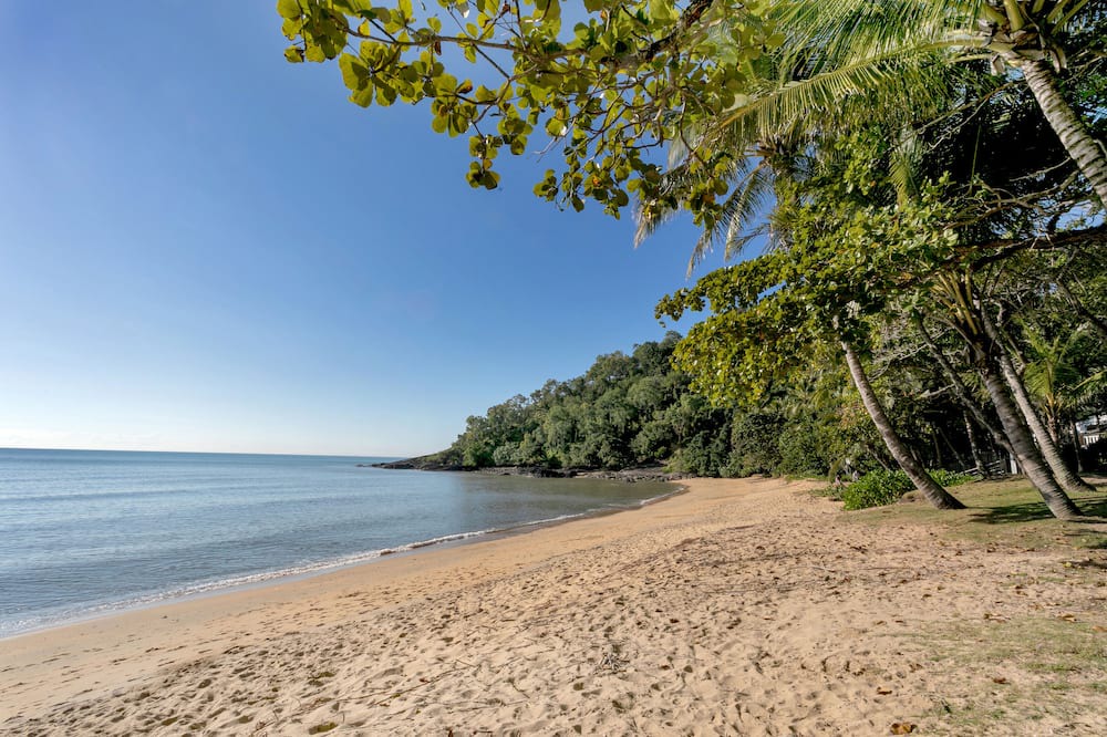 Photo of Others in Trinity Beach