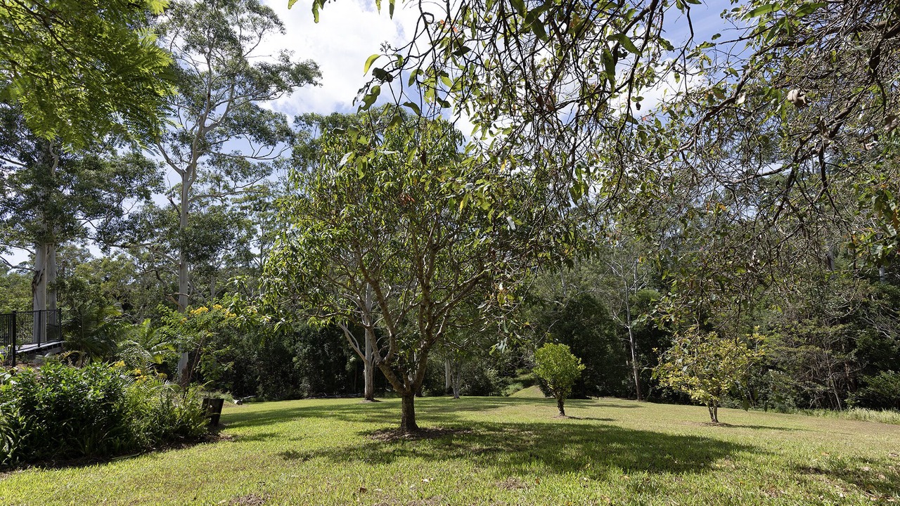 Photo of Outdoor in Doonan