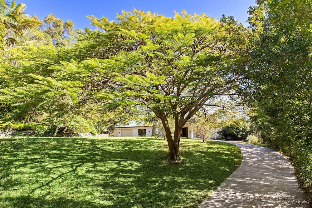 Photo of Outdoor in Black Mountain