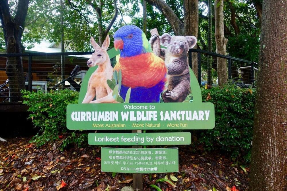 Photo of Others in Coomera