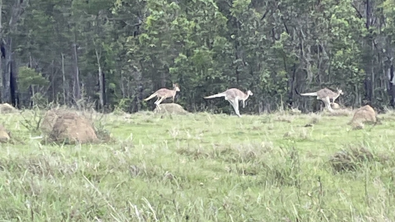 Photo of Others in Wondecla