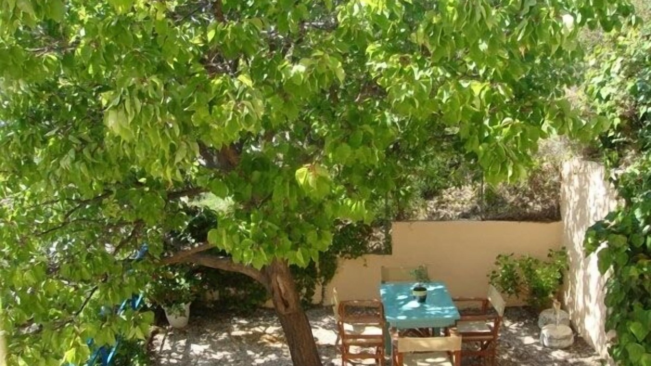 Photo of Patio Balcony in Patitiri