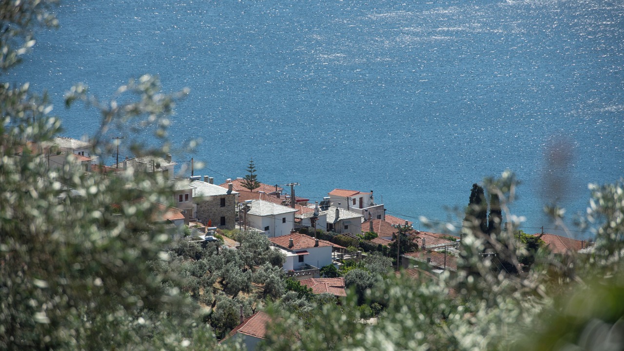 Photo of Others in Afissos