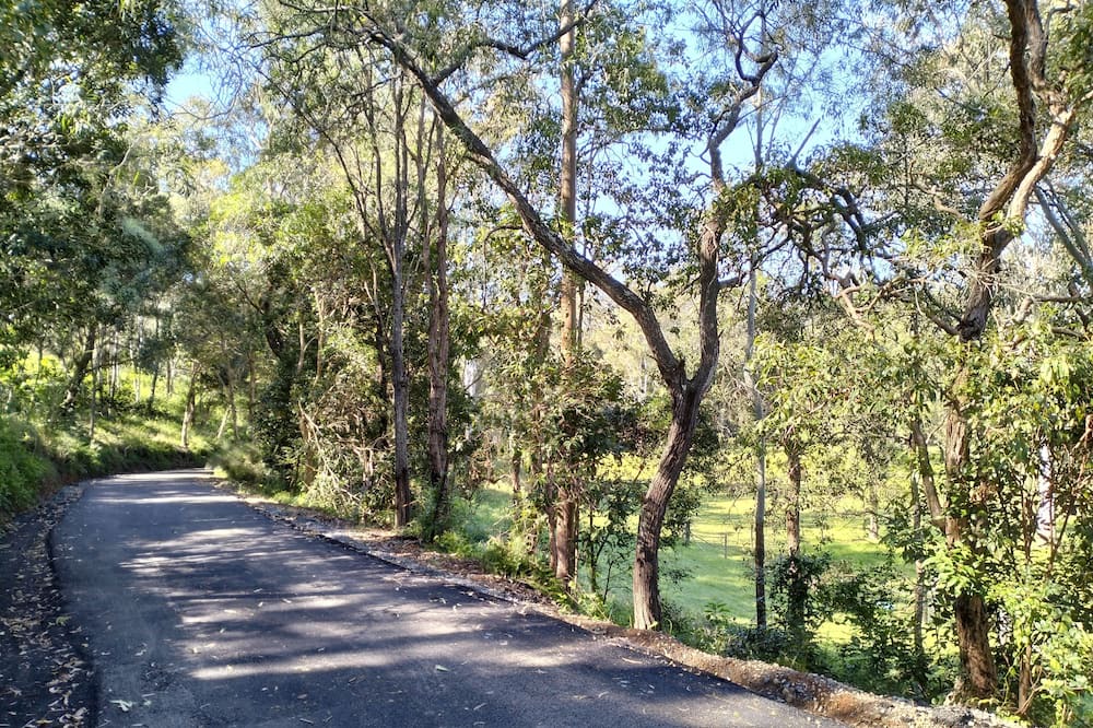 Photo of Outdoor in Wolfdene