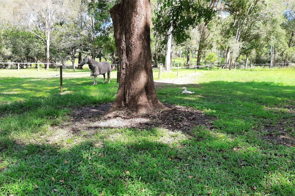 Photo of Outdoor in Wolfdene