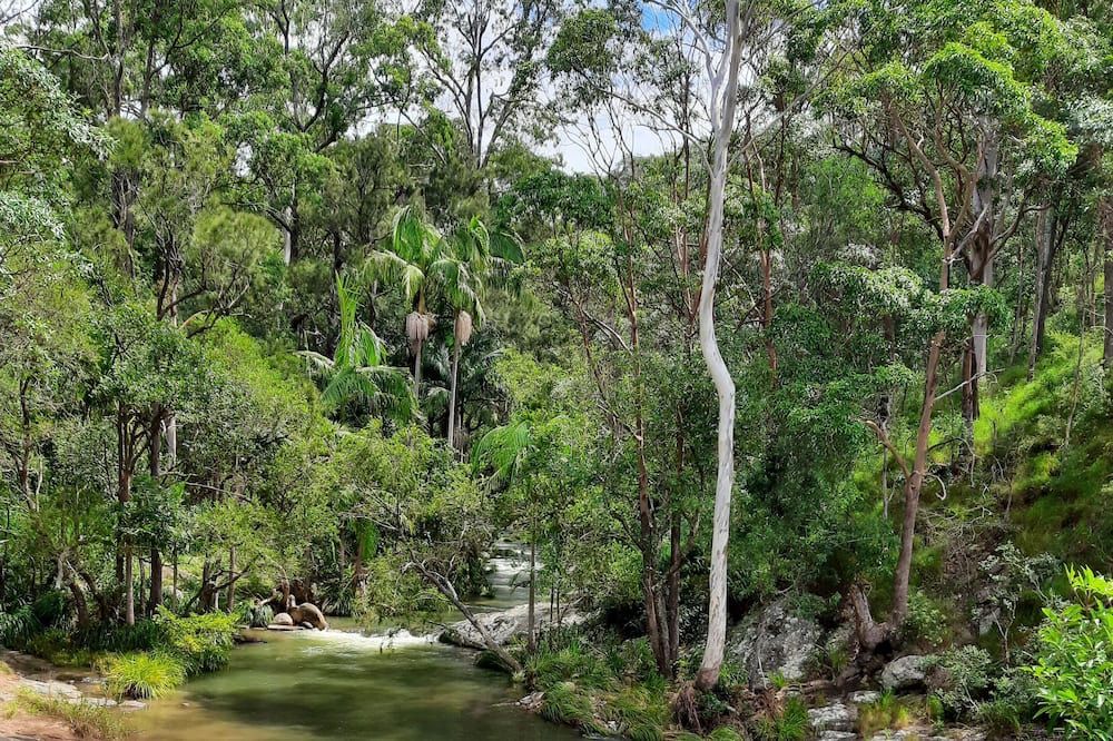 Photo of Outdoor in Wolfdene