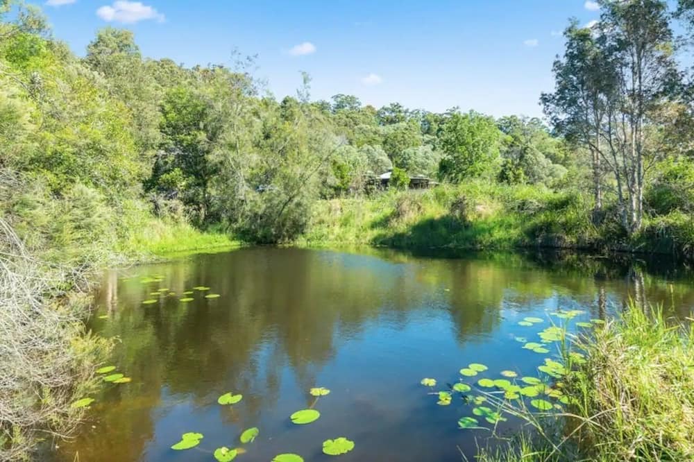 Photo of Outdoor in Currumbin Valley