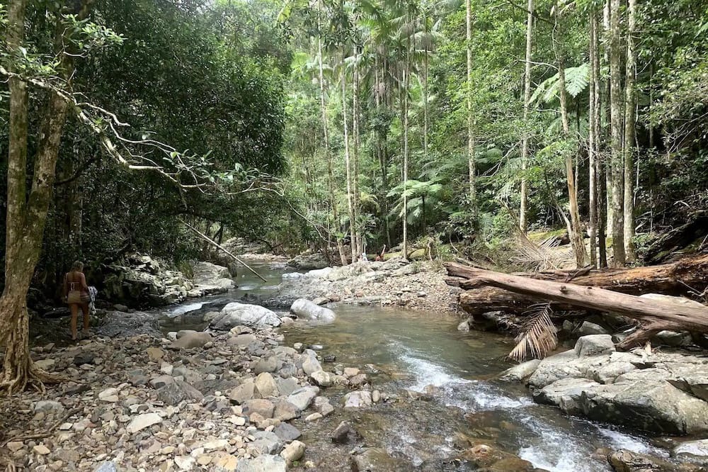 Photo of Outdoor in Currumbin Valley