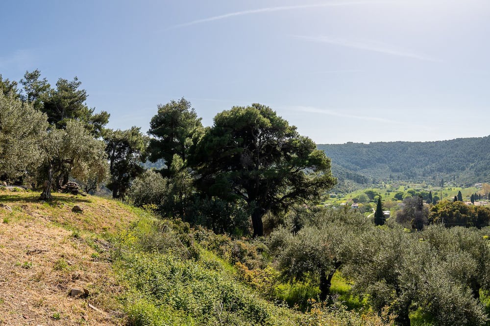 Photo of Others in Stafylos