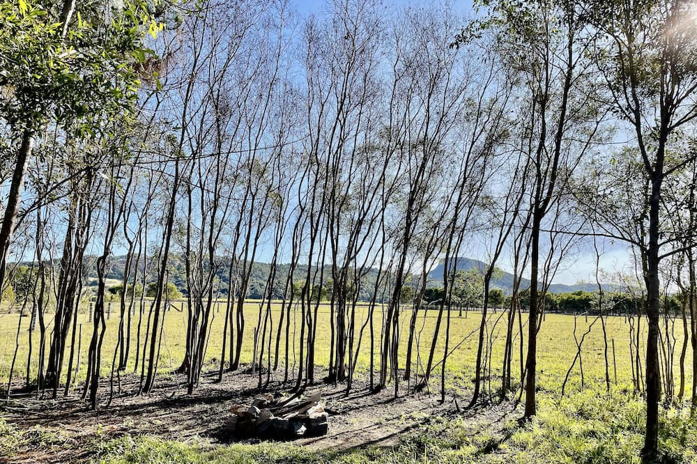 Photo of Outdoor in Maroochy River